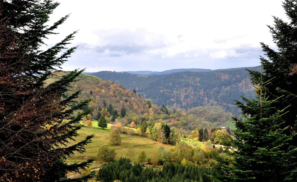 HOTEL LA VIGOTTE Girmont-Val-d'Ajol