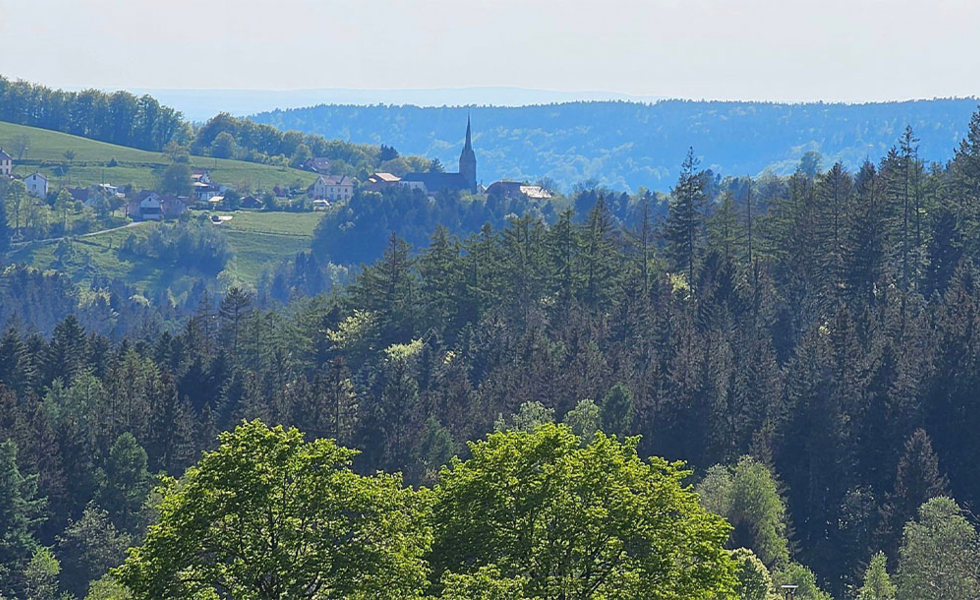 HOTEL LA VIGOTTE Girmont-Val-d'Ajol