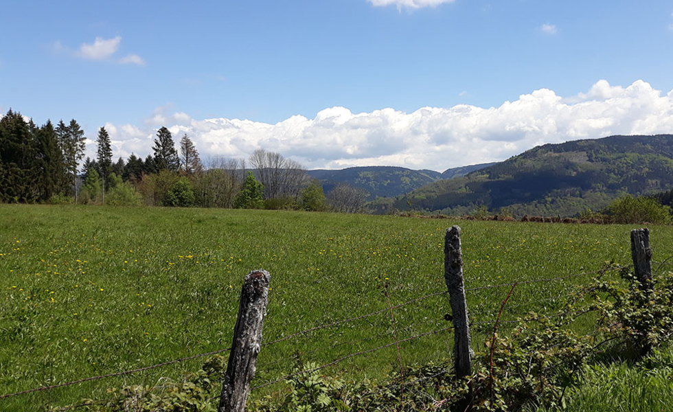HOTEL LA VIGOTTE Girmont-Val-d'Ajol