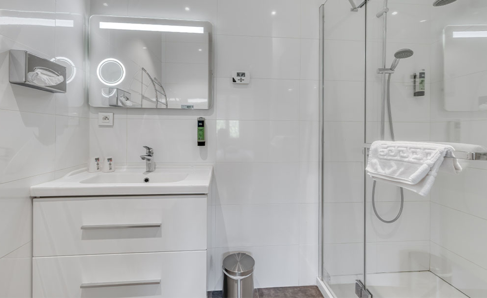 HÔTEL LE FER À CHEVAL Yenne