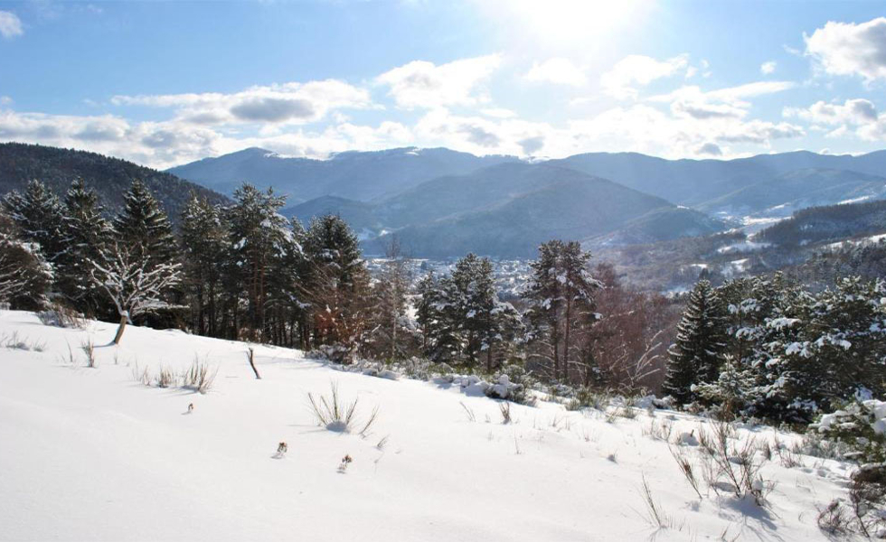 AUBERGE DU MEHRBACHEL Saint-Amarin
