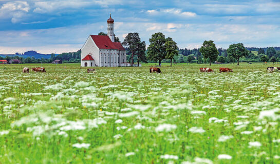 HOTEL FORELLENBACH Fischen