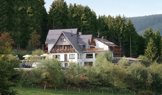 WALDHOTEL WILLINGEN Willingen