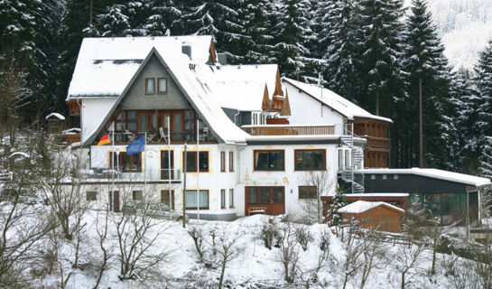 WALDHOTEL WILLINGEN Willingen