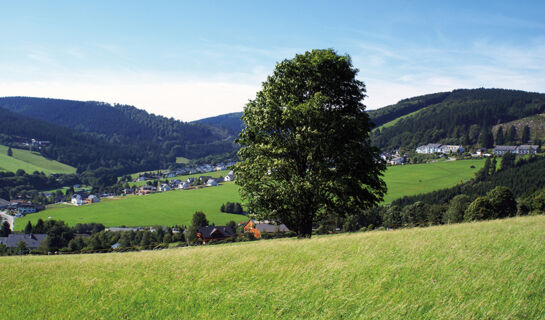 WALDHOTEL WILLINGEN Willingen