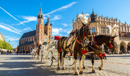 CROWN PIAST HOTEL & SPA Cracovie