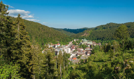 HOTEL-RESTAURANT BRAUEREI WALTER Waldshut-Tiengen