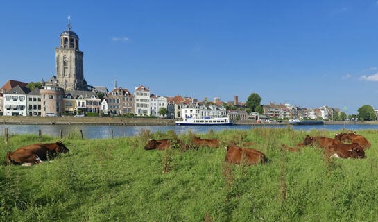 HOTEL HET WAPEN VAN DELDEN Delden