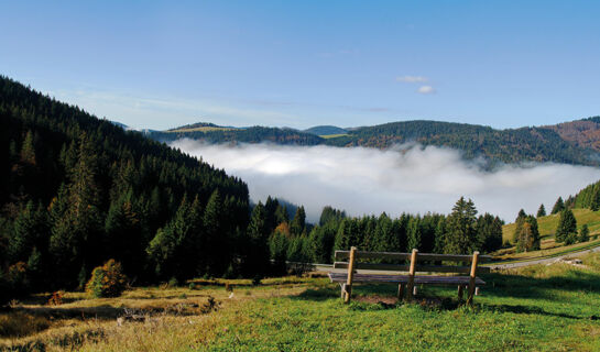 TOP CCL HOTEL RITTER Badenweiler