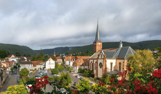 HÔTEL MAJESTIC ALSACE Niederbronn-les-Bains