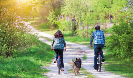 LANDGASTHAUS ALTER POSTHOF (B&B) Halsenbach