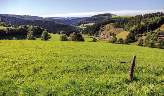 ROMANTIK HOTEL STÖRMANN Schmallenberg