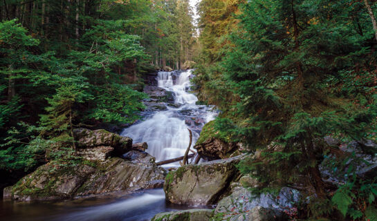 DAS ARBER-HOTEL AM ROTHBACH Bodenmais