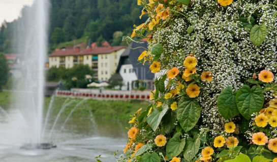 HOTEL ZDRAVILIŠČE LAŠKO Laško