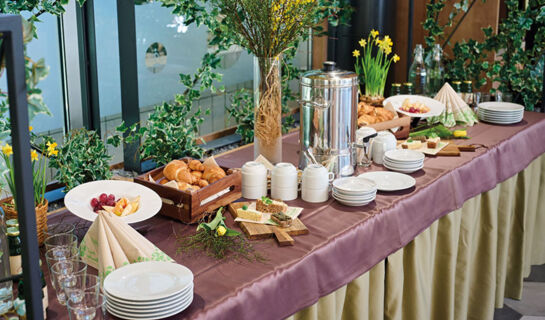 TERME SNOVIK Laze v Tuhinju