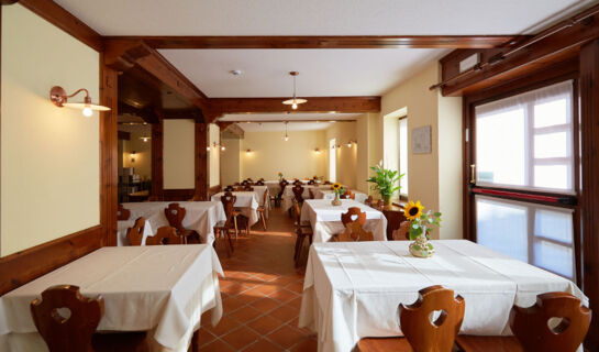 HOTEL VILLA  ALPINA Forni di Sopra