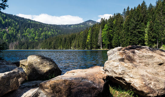 AKZENT WELLNESSHOTEL BAYERWALD-RESIDENZ Neukirchen (BA)