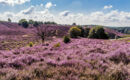 FLETCHER HOTEL-RESTAURANT MOOI VELUWE Putten