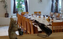 AUBERGE COMMUNALE D'ETOY Étoy