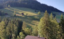 AUBERGE DE LA COMBAL Ormont-Dessous