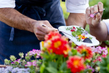 THE COOKBOOK GASTRO BOUTIQUE HOTEL (B & B) Calpe