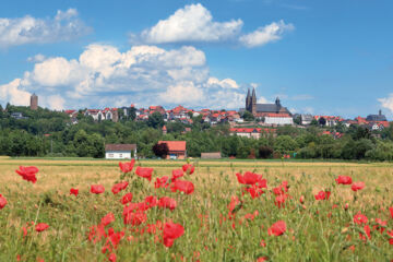 LANDHOTEL WEINRICH (B&B) Naumburg