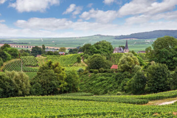 LA TOUR DU ROY Vervins