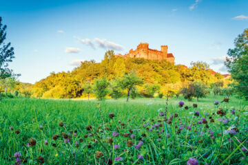 LE LION D'OR Rocamadour