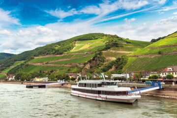 PARK VILLA BAD SALZIG (B&B) Boppard