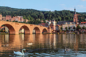 ACHAT HOTEL SCHWETZINGEN HEIDELBERG (B&B) Schwetzingen