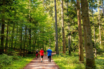 VITAL- UND WELLNESSHOTEL ALBBLICK Waldachtal