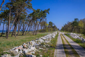 RESORT KRÓL PLAZA - WELLNESS & SPA Jaroslawiec