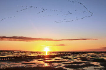 HOTEL RESTAURANT MÖWCHEN Norden HOTEL RESTAURANT MÖWCHEN Norden