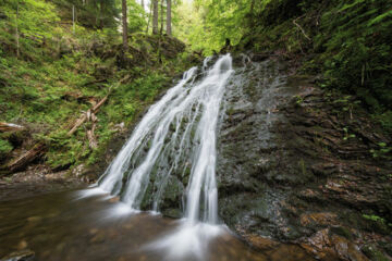 CHALET MOOS (B&B) Todtmoos