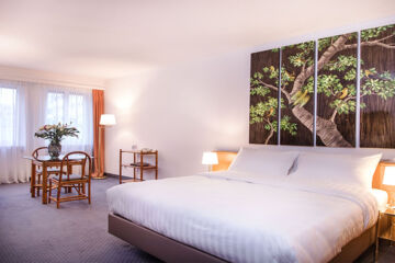 HÔTEL SAGITTA (B&B) Genève