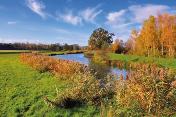 SPREE-WALDHOTEL COTTBUS Cottbus