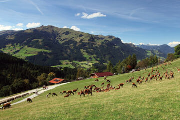 HOTEL-PENSION HEIKE Aurach bei Kitzbühel